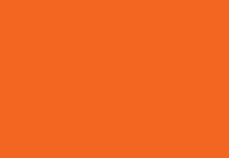 Hex Code for Blaze Orange #FF6600