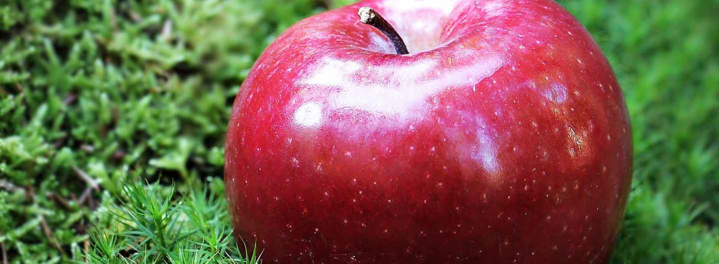 Banner of an Apple on Grass