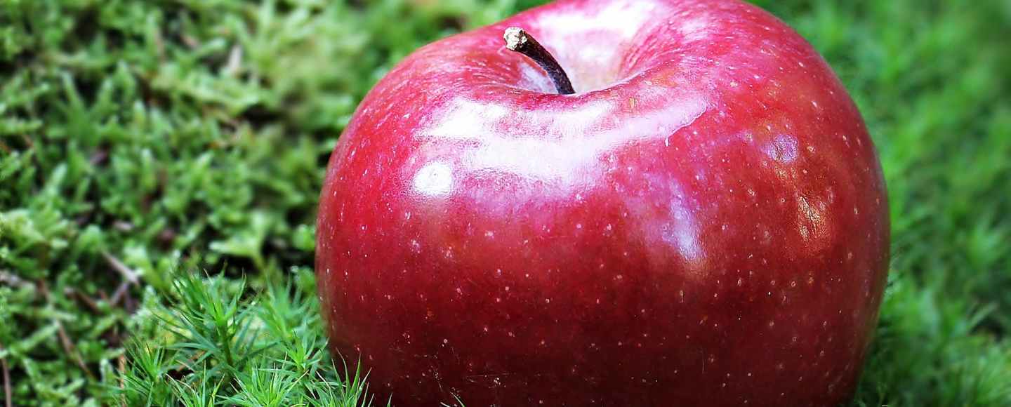 Banner of an Apple on Grass