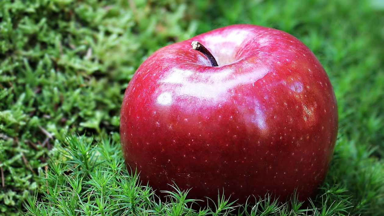 Banner of an Apple on Grass