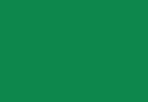HEX Code #13864A of EmeraldGreen