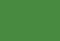 HEX Code #48893F Scheele's Green