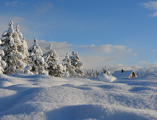 A snowy field with sparkling snow.
