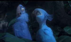 Jewel (a female Spix macaw) just flicked away a bug on Blu's back (a male Spix macaw) in a dark jungle.